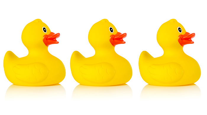 3 yellow rubber ducks
