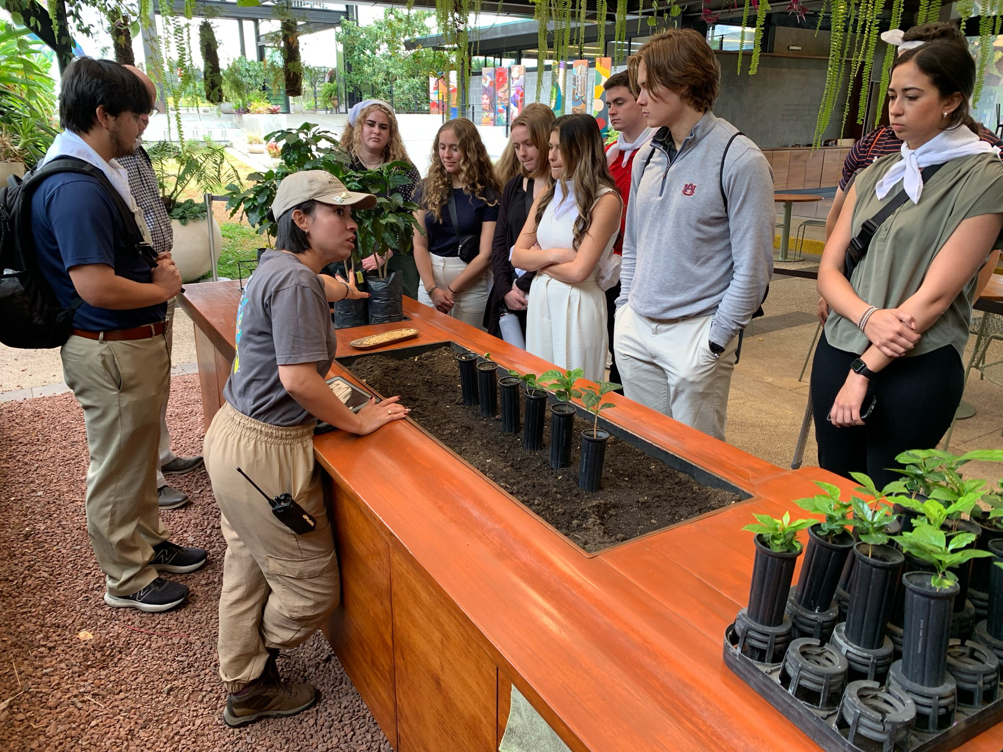 Starbucks coffee farm students learning about coffee plants costa rica