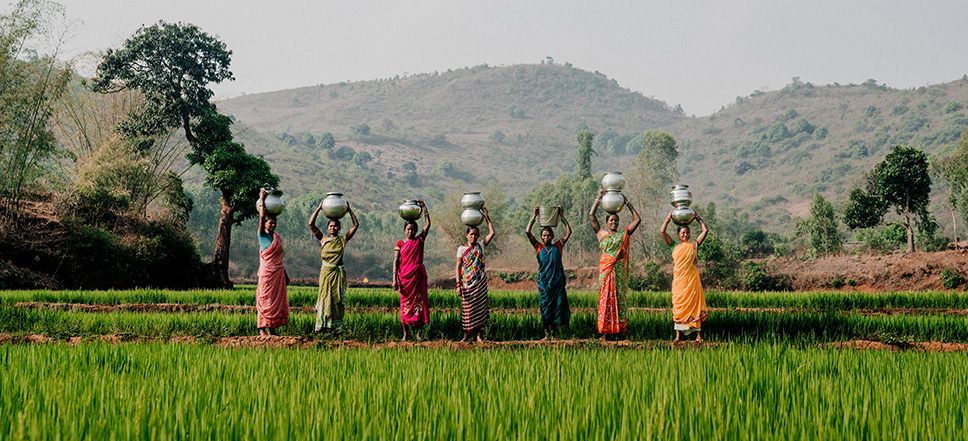Ethiopian women carrying water Women standing in field with water jugs