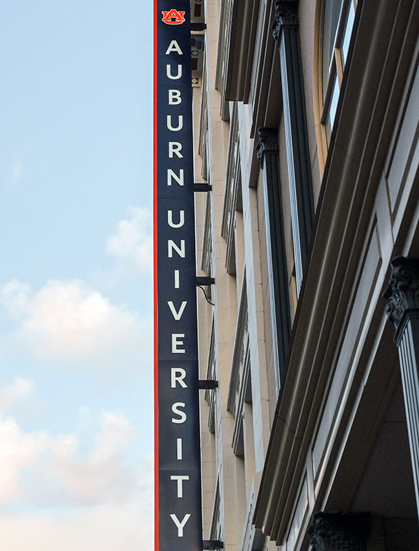 Vertical view of the Birminham building