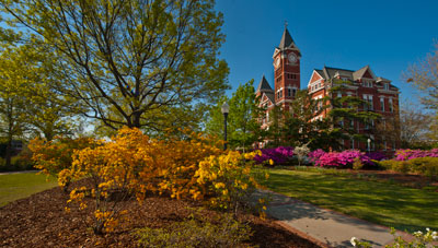 1999-Springtime in Auburn